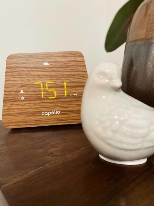 The Nest In 5 Points, Downtown, Walk To Everything ハンツビル エクステリア 写真